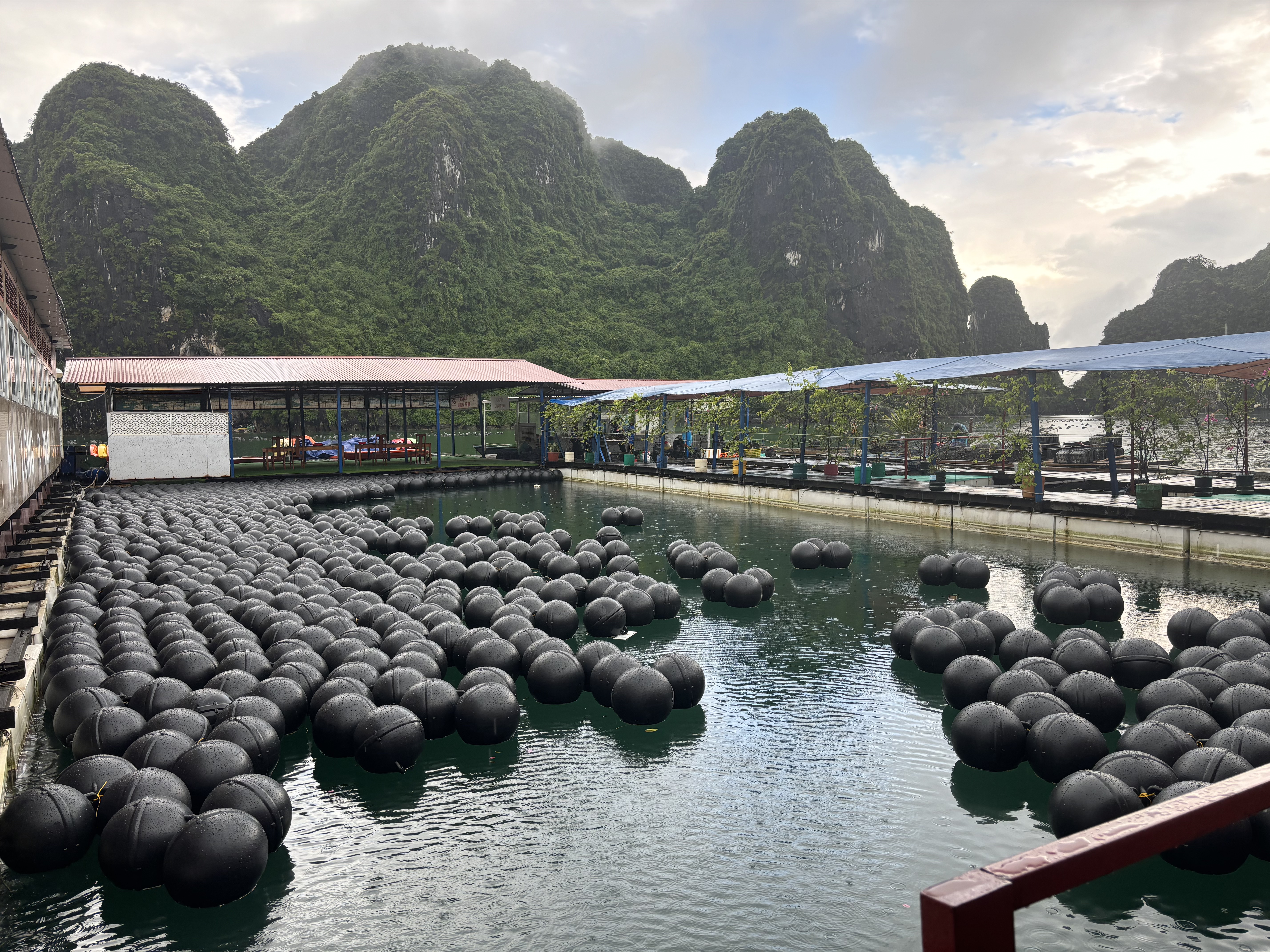 Halong Pearl Farm Tung Sau. Photo by D’Charme Cruises.
